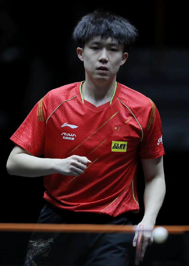 毛球未来的 毛球未来的