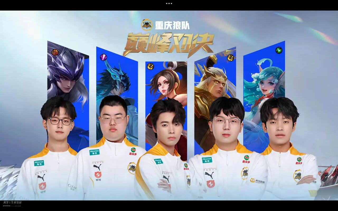 公开赛的羽